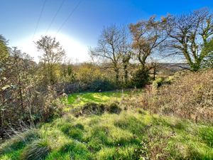 Photo 39- click for photo gallery